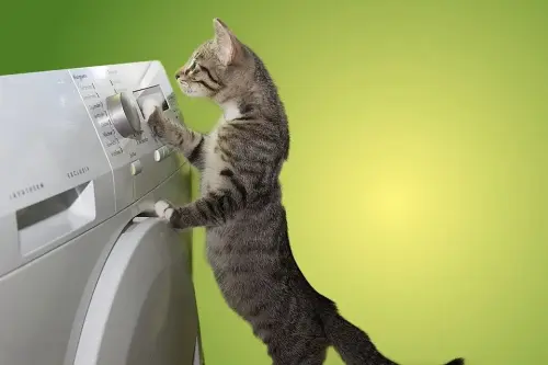 Dryer-Repair--in-Elmaton-Texas-dryer-repair-elmaton-texas.jpg-image